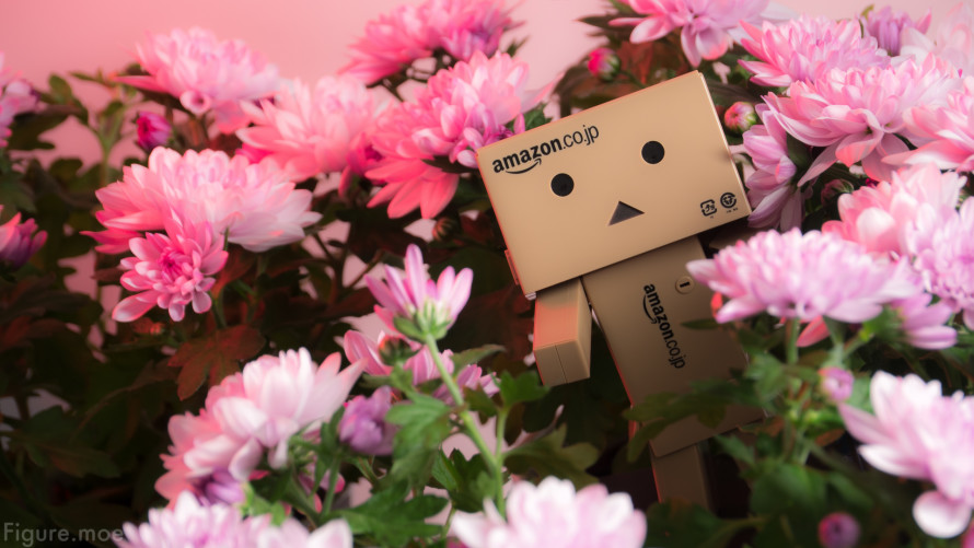 Figure-moe-Danbo-forest-1