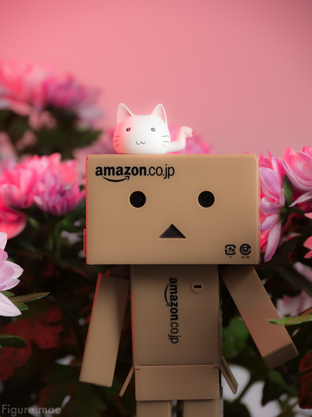 Figure-moe-Danbo-forest-9