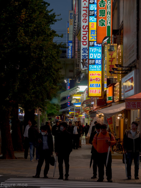 Figure-moe-Akihabara-2015-20