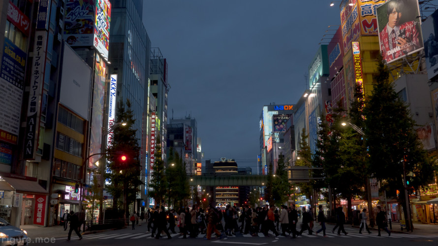 Figure-moe-Akihabara-2015-3